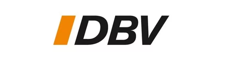 Logo der Deutschen Basketballvereinigung